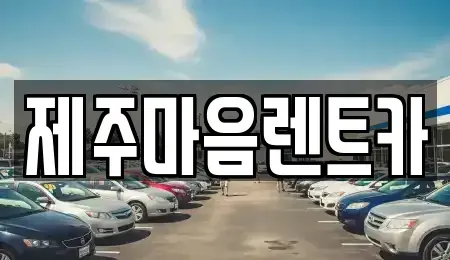 제주특별자치도 제주시 장기렌트카 전문 제주마음렌트카