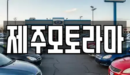 제주특별자치도 제주시 중고차 전문 제주모토라마