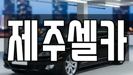 제주특별자치도 제주시 중고차 전문 제주셀카