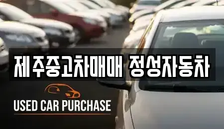 제주특별자치도 제주시 중고차 전문 제주중고차매매 정성자동차