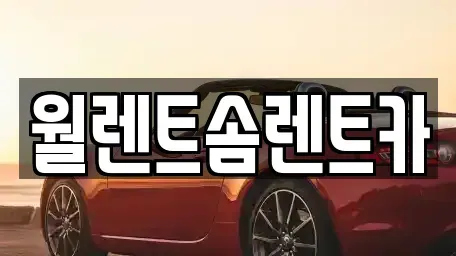 충남 당진시 합덕읍 렌트카 전문 월렌트솜렌트카