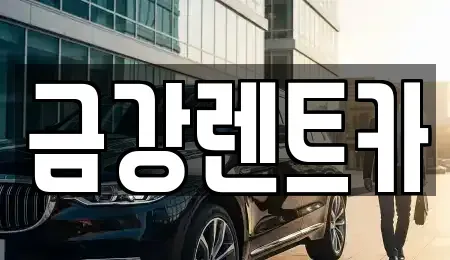 충남 서산시 대산읍 렌트카 전문 금강렌트카