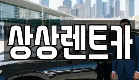 충남 서천군 종천면 렌트카 전문 상상렌트카