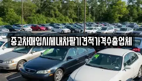 충남 서천군 종천면 중고차매입 전문 중고차매입시세내차팔기견적가격수출업체