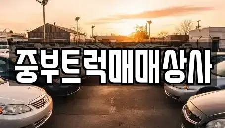 충남 아산시 영인면 중고차 전문 중부트럭매매상사
