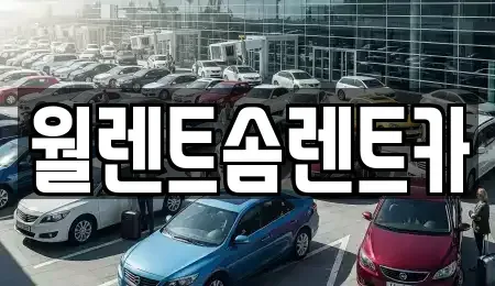 충남 아산시 용화동 렌트카 전문 월렌트솜렌트카