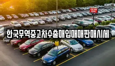 충남 아산시 용화동 중고차매매 전문 한국무역중고차수출매입매매판매시세