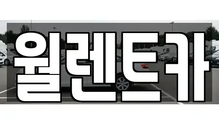 충남 천안시 동남구 북면 렌트카 전문 월렌트카