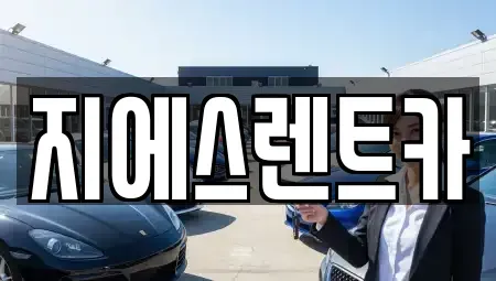 충남 천안시 동남구 원성동 렌트카 전문 지에스렌트카