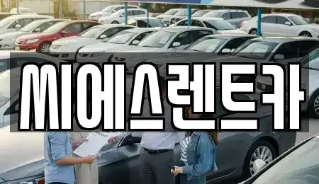 충남 천안시 동남구 청수동 렌트카 전문 씨에스렌트카