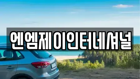충남 천안시 동남구 청수동 렌트카 전문 엔엠제이인터네셔널