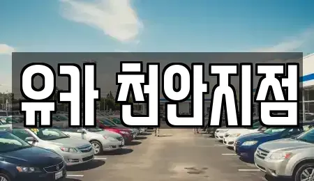 충남 천안시 동남구 청수동 중고차 전문 유카 천안지점