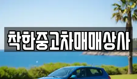 충남 천안시 동남구 청수동 중고차 전문 착한중고차매매상사