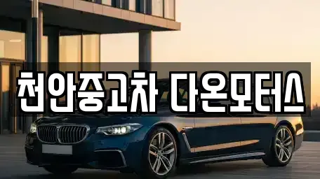 충남 천안시 동남구 청수동 중고차 전문 천안중고차 다온모터스