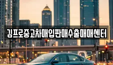 충남 천안시 동남구 청수동 중고차매입 전문 김프로중고차매입판매수출매매센터