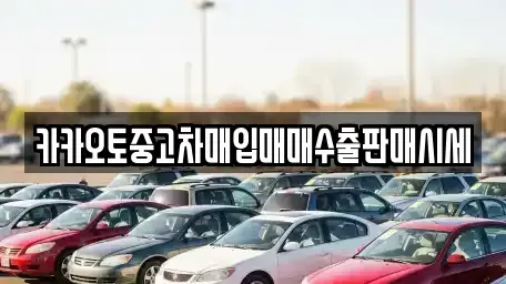 충남 천안시 동남구 청수동 중고차매입 전문 카카오토중고차매입매매수출판매시세