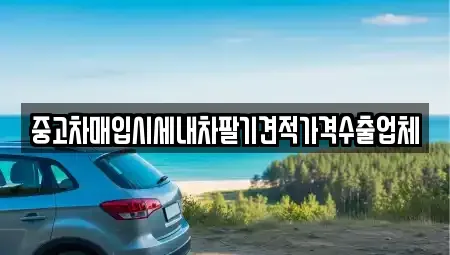 충남 홍성군 구항면 중고차매입 전문 중고차매입시세내차팔기견적가격수출업체