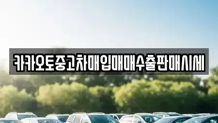 충남 홍성군 구항면 중고차매입 전문 카카오토중고차매입매매수출판매시세