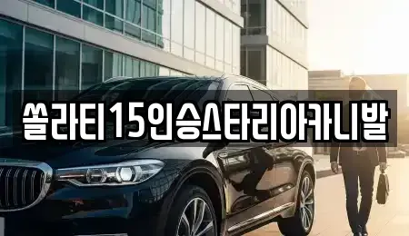 충북 제천시 송학면 렌트카 전문 쏠라티15인승스타리아카니발