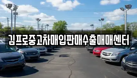 충북 제천시 송학면 중고차매입 전문 김프로중고차매입판매수출매매센터