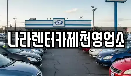 충북 제천시 신백동 렌트카 전문 나라렌터카제천영업소