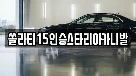 충북 제천시 신백동 렌트카 전문 쏠라티15인승스타리아카니발