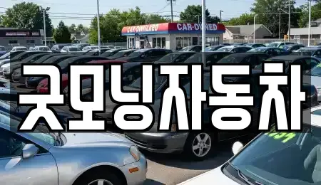충북 제천시 신백동 중고차매매 전문 굿모닝자동차