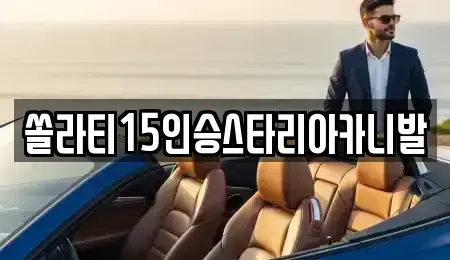 충북 제천시 중앙로1가 렌트카 전문 쏠라티15인승스타리아카니발