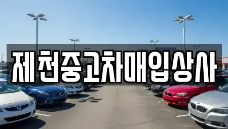 충북 제천시 중앙로1가 중고차매매 전문 제천중고차매입상사