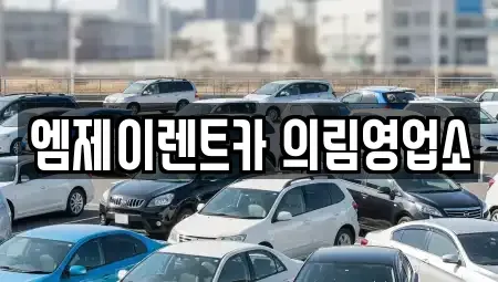 충북 제천시 하소동 렌트카,단기렌트카,장기렌트카,중고차,중고차매매,중고차매입