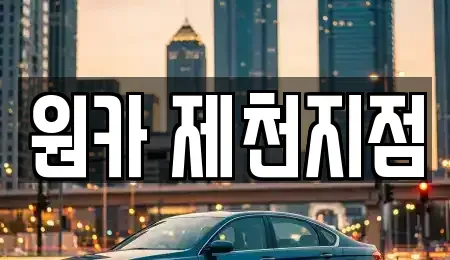 충북 제천시 하소동 렌트카 전문 원카 제천지점