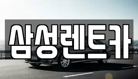 충북 청주시 서원구 모충동 렌트카 전문 삼성렌트카