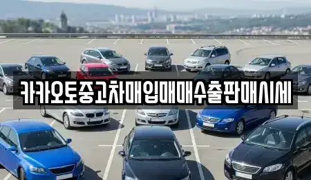 충북 청주시 서원구 모충동 중고차매입 전문 카카오토중고차매입매매수출판매시세
