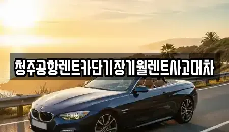 충북 청주시 청원구 내수읍 장기렌트카 전문 청주공항렌트카단기장기월렌트사고대차