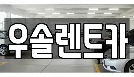충북 청주시 흥덕구 석소동 렌트카 전문 우솔렌트카