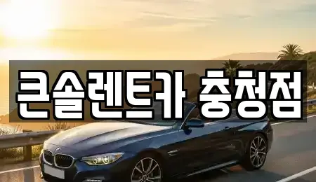 충북 청주시 흥덕구 석소동 렌트카 전문 큰솔렌트카 충청점