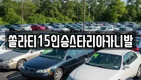 충북 충주시 살미면 렌트카 전문 쏠라티15인승스타리아카니발