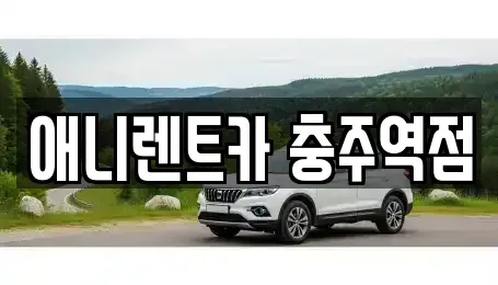 충북 충주시 살미면 렌트카 전문 애니렌트카 충주역점