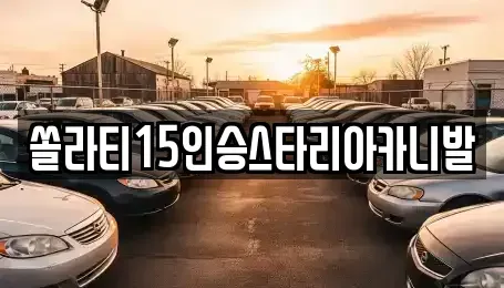 충북 충주시 용두동 렌트카 전문 쏠라티15인승스타리아카니발