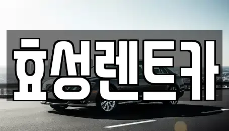 충북 충주시 용두동 렌트카 전문 효성렌트카