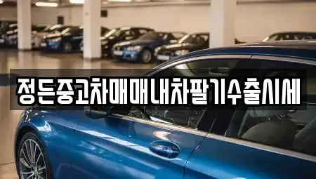 충북 충주시 용두동 중고차매매 전문 정든중고차매매내차팔기수출시세