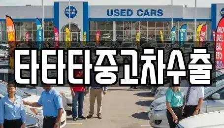 충북 충주시 용두동 중고차매매 전문 타타타중고차수출