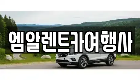 충청남도 공주시 우성면 렌트카 전문 엠알렌트카여행사