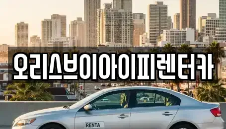 충청남도 공주시 우성면 렌트카 전문 오리스브이아이피렌터카
