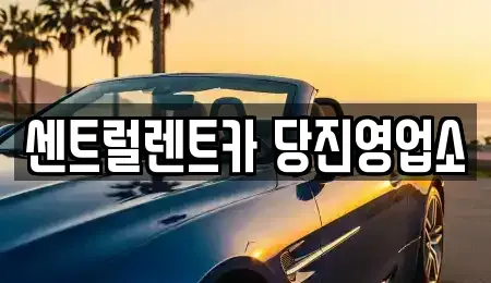 충청남도 당진시 채운동 렌트카 전문 센트럴렌트카 당진영업소