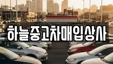 충청남도 당진시 채운동 중고차매입 전문 하늘중고차매입상사