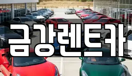 충청남도 서산시 인지면 렌트카 전문 금강렌트카