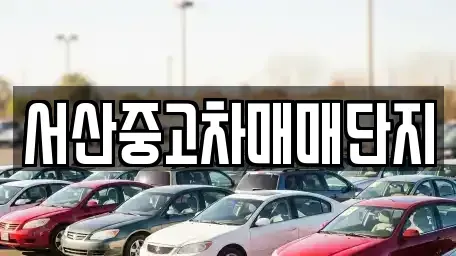 충청남도 서산시 인지면 중고차 전문 서산중고차매매단지