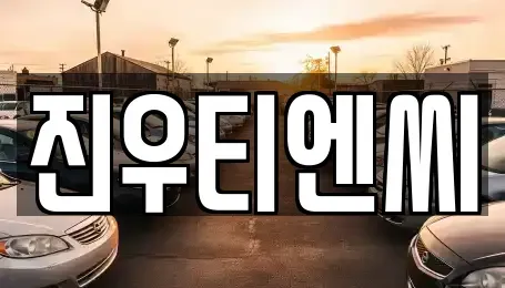 충청남도 천안시 동남구 성황동 중고차매매 전문 진우티엔씨