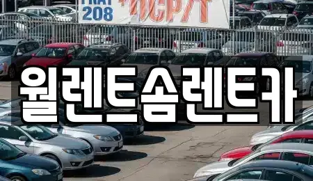 충청남도 천안시 동남구 풍세면 렌트카 전문 월렌트솜렌트카